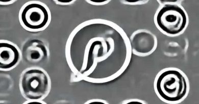 Fells Point Cultivated Creations