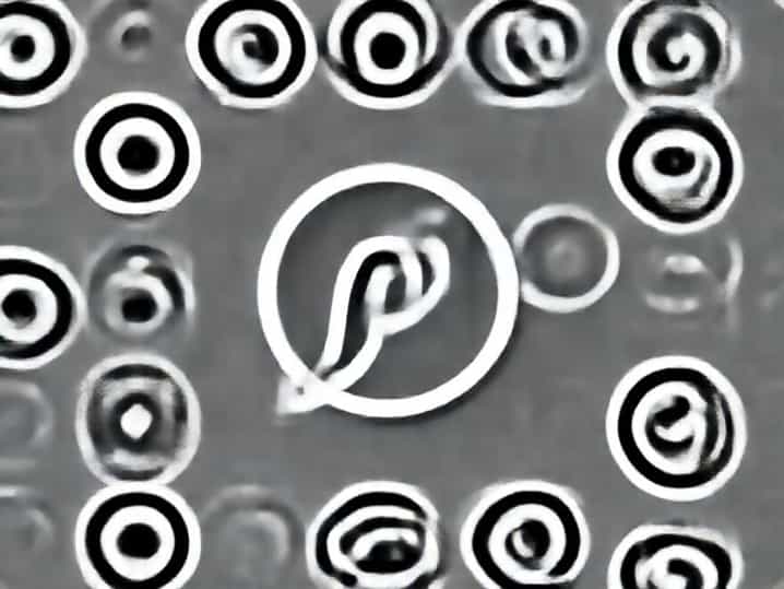 Fells Point Cultivated Creations