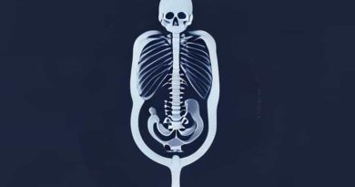 Fetal Anatomic Survey Ultrasound
