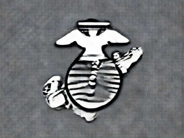 First Marine Expeditionary Force