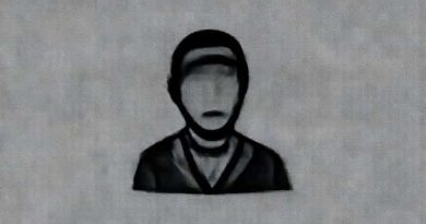 French Social Classes Bourgeoisie