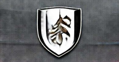 Fulham Fc Brighton & Hove Albion