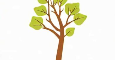 Get A Branch From The Topping Out