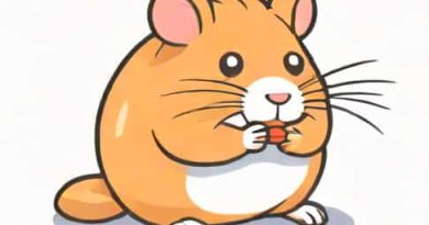 Hamster Kombat Daily Combo July 9