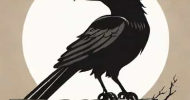 How Did Bianca Get Into Nevermore