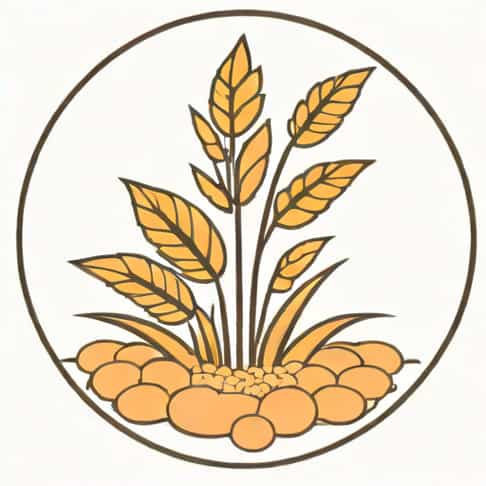 How Long To Inoculate Grain Spawn