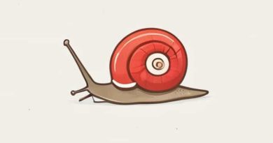 How Many Teeth Does A Snail Have