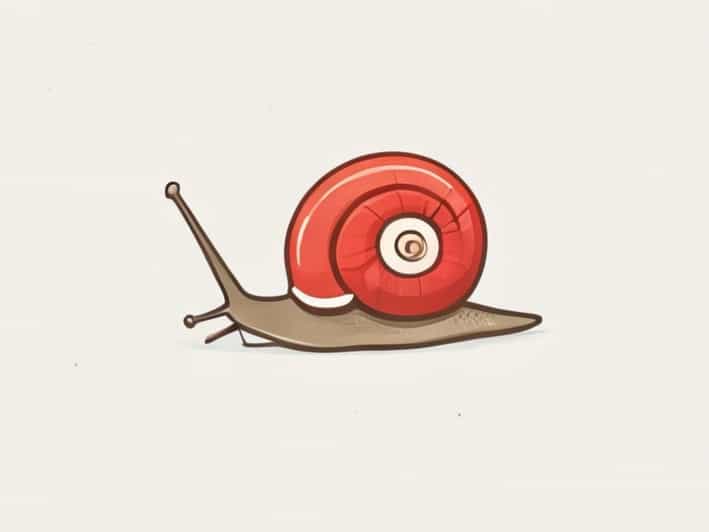How Many Teeth Does A Snail Have