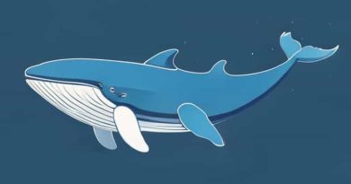 How Much Does A Blue Whale Weigh