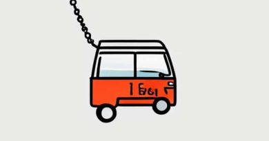 How Much Is A Van Cleef Necklace