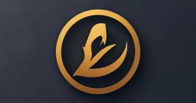 How To Elden Ring Seamless Co Op