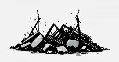 In The Wreckage By Hailey Turner