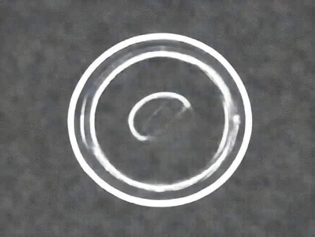 Is A Doubly Linked List Circular