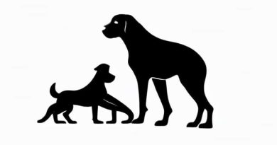 Is It Illegal To Inbreed Dogs Uk