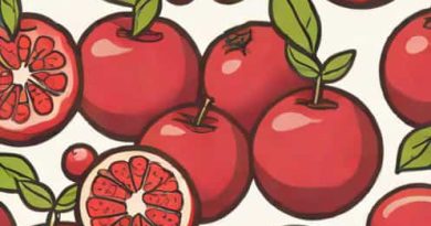 Juicy Lasting Tint Romand Jujube