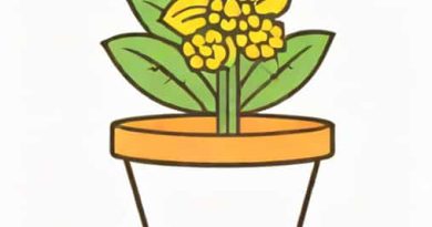 Keep It Cash The Flowerpot 27 Sep