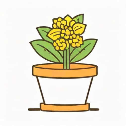 Keep It Cash The Flowerpot 27 Sep