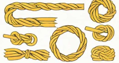 La Rivoluzione Del Filo Di Paglia