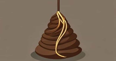 Long Brown Stringy Thing In Poop