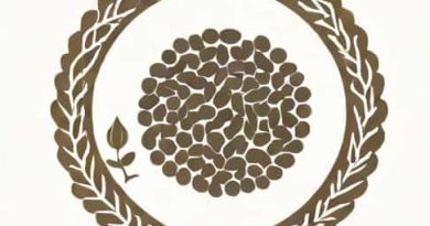 Meaning Of Carom Seeds In Marathi