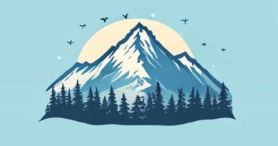 Mountain View Bluegrass Festival