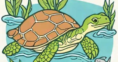 Myrtle The Turtle Finny The Shark