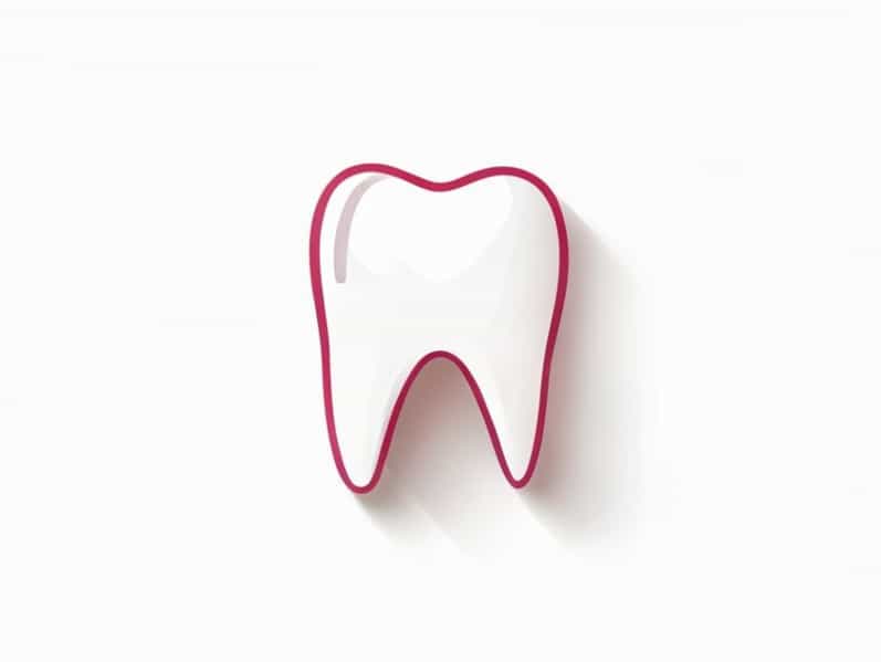 Nail To The Tooth Paleface Swiss