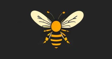 Never Been Stung By A Bee Reddit