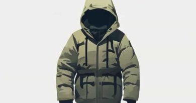 North Face Explore Farther Parka