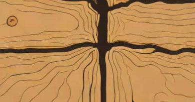Penetrating Epoxy For Rotted Wood