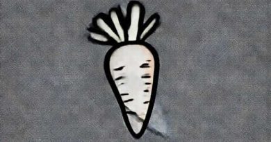 Persona 4 Carrot And Burdock Root