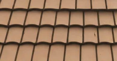 Pictures Of Scabbed Over Shingles