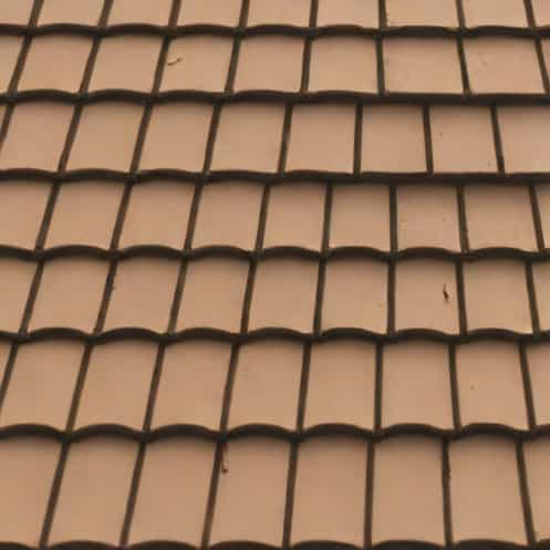 Pictures Of Scabbed Over Shingles