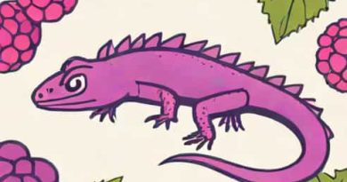 Purple Lizard Loganberry Calories