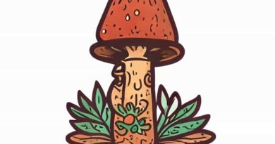 Que Es El Peyote Como Se Consume