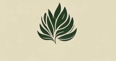 Regrow Hair Naturally In 3 Weeks