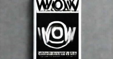 Revista Wow Reynaldo Gianecchini