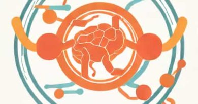 Role Of Atp In Muscle Contraction