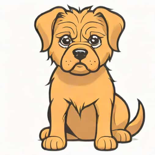 Shaved The Dog And Glued The Hair