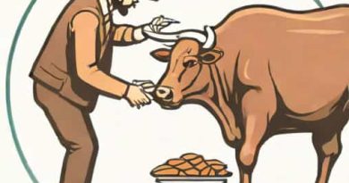 She Bequeaths The Beef To A Thief