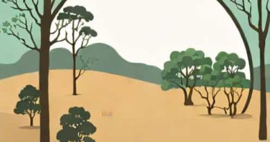 Shire Of Harvey Firebreak Notice