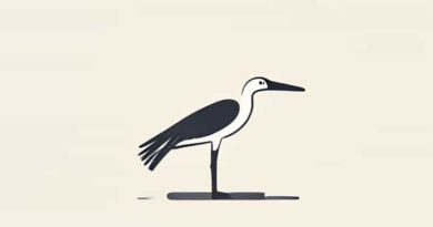 Show Me A Picture Of A Spoonbill