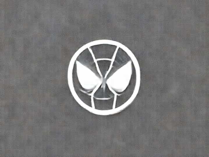 Spider Man Friendly Neighborhood