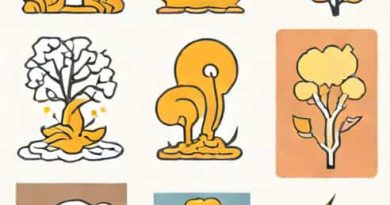 Stages Of Verruca Dying Pictures