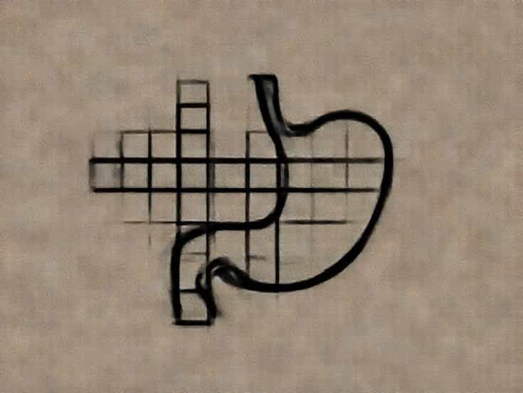 Stomach Purgative Crossword Clue