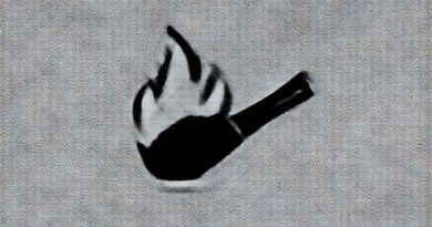 The Flaming Spittoon Acquisition