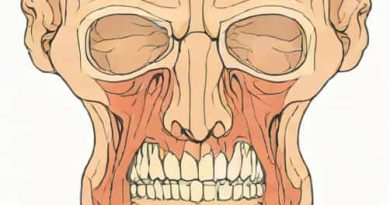 Uncinate Process Maxillary Sinus