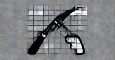 Use A Blowtorch On Crossword Clue