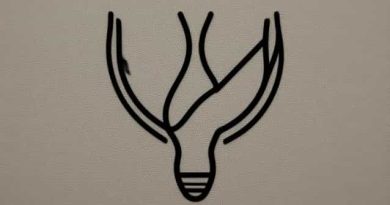 Vulva Swabbing Nursing Procedure