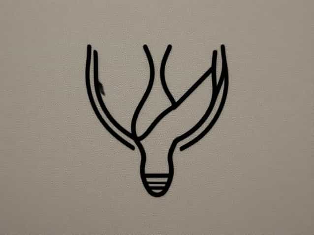 Vulva Swabbing Nursing Procedure